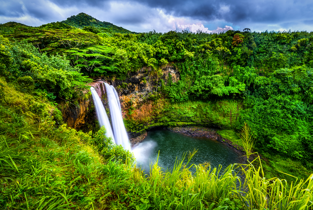Trip To Hawaii